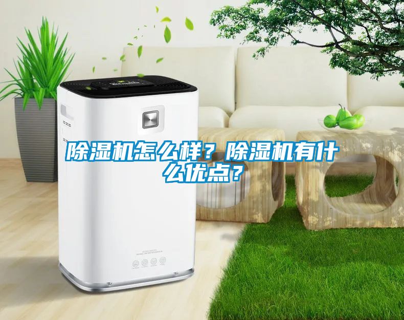 除濕機怎么樣？除濕機有什么優點？