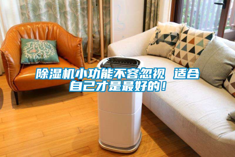除濕機小功能不容忽視 適合自己才是最好的！