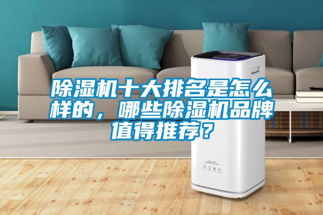 除濕機十大排名是怎么樣的，哪些除濕機品牌值得推薦？