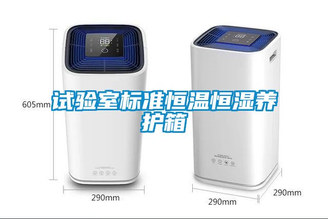 試驗室標準恒溫恒濕養護箱