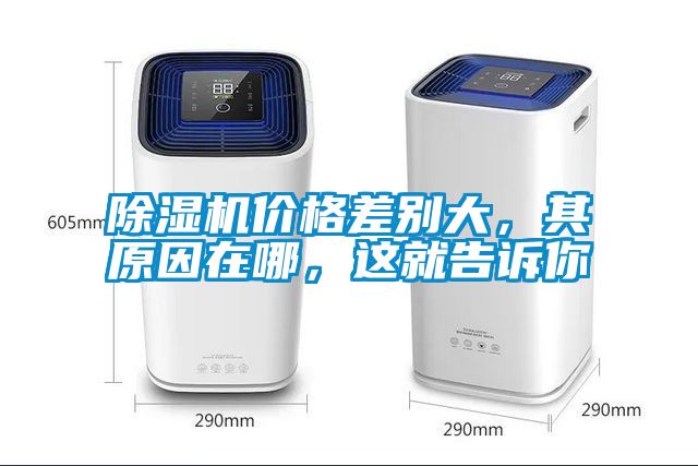除濕機價格差別大，其原因在哪，這就告訴你