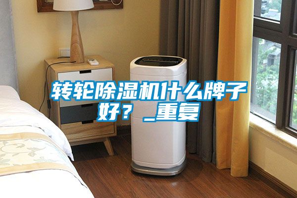 轉輪除濕機什么牌子好？_重復