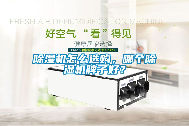 除濕機怎么選購，哪個除濕機牌子好？