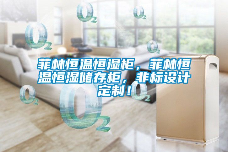 菲林恒溫恒濕柜，菲林恒溫恒濕儲存柜，非標設計定制！