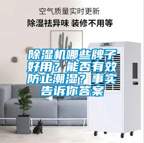 除濕機哪些牌子好用？能否有效防止潮濕？事實告訴你答案
