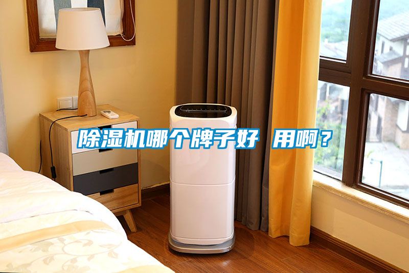 除濕機哪個牌子好 用?。?></div>
								<div   id=