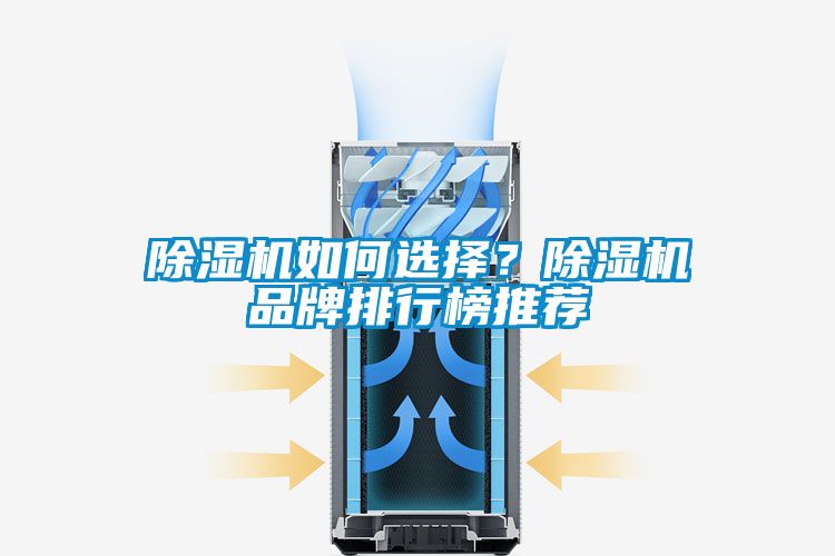 除濕機如何選擇？除濕機品牌排行榜推薦