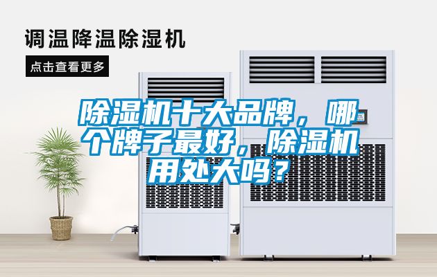 除濕機十大品牌，哪個牌子最好，除濕機用處大嗎？