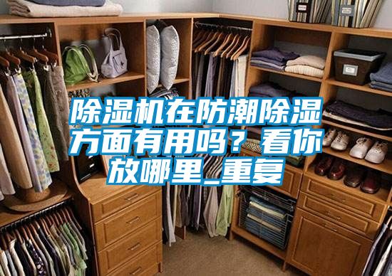除濕機在防潮除濕方面有用嗎？看你放哪里_重復
