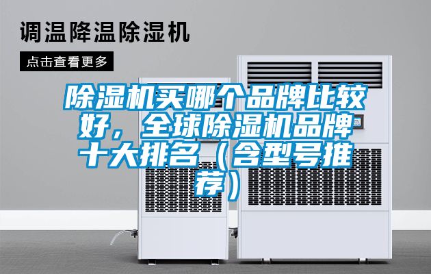 除濕機買哪個品牌比較好，全球除濕機品牌十大排名（含型號推薦）