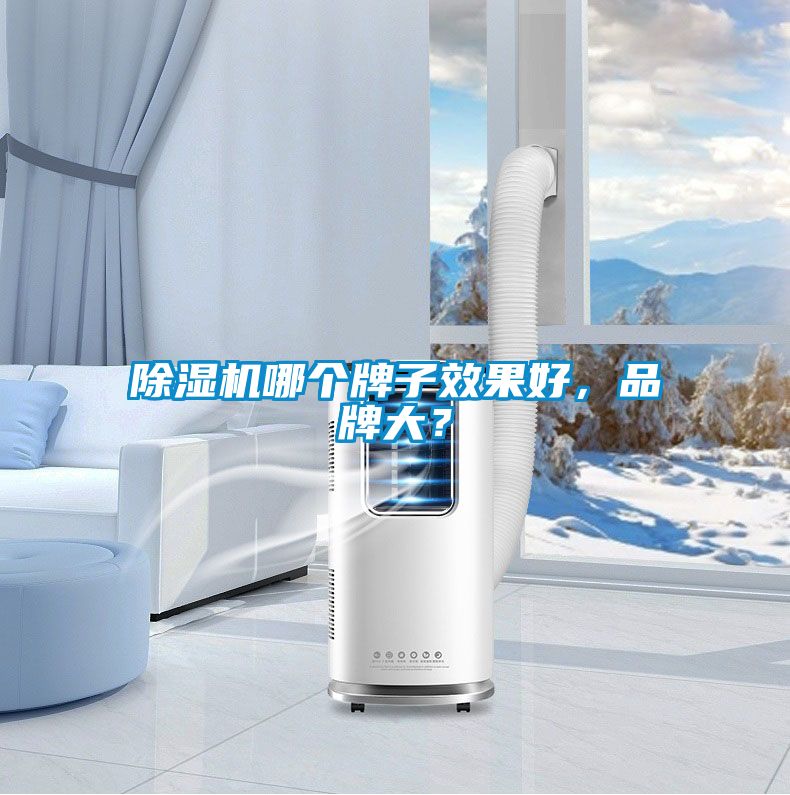 除濕機哪個牌子效果好，品牌大？