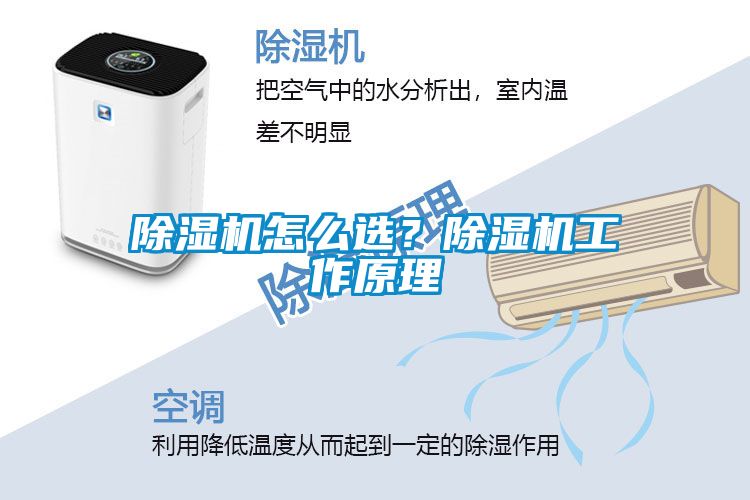 除濕機怎么選？除濕機工作原理
