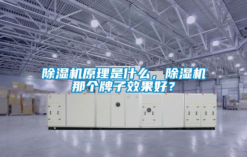 除濕機原理是什么，除濕機那個牌子效果好？