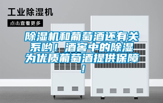 除濕機和葡萄酒還有關系喲！酒窖中的除濕為優質葡萄酒提供保障！