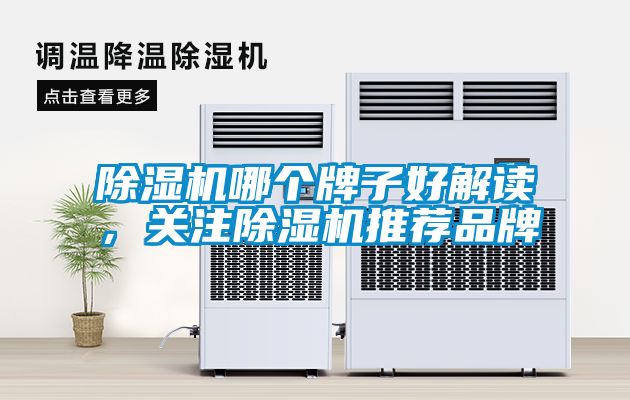 除濕機哪個牌子好解讀，關注除濕機推薦品牌