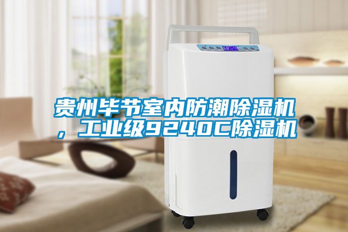 貴州畢節室內防潮除濕機，工業級9240C除濕機