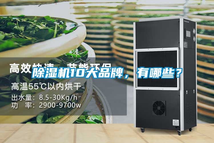 除濕機10大品牌，有哪些？