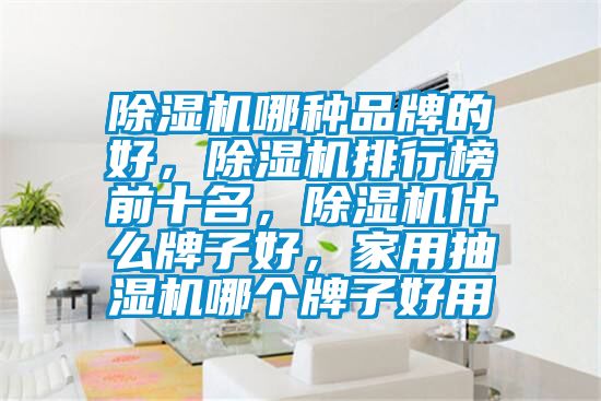 除濕機哪種品牌的好，除濕機排行榜前十名，除濕機什么牌子好，家用抽濕機哪個牌子好用
