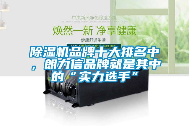 除濕機品牌十大排名中，朗力信品牌就是其中的“實力選手”