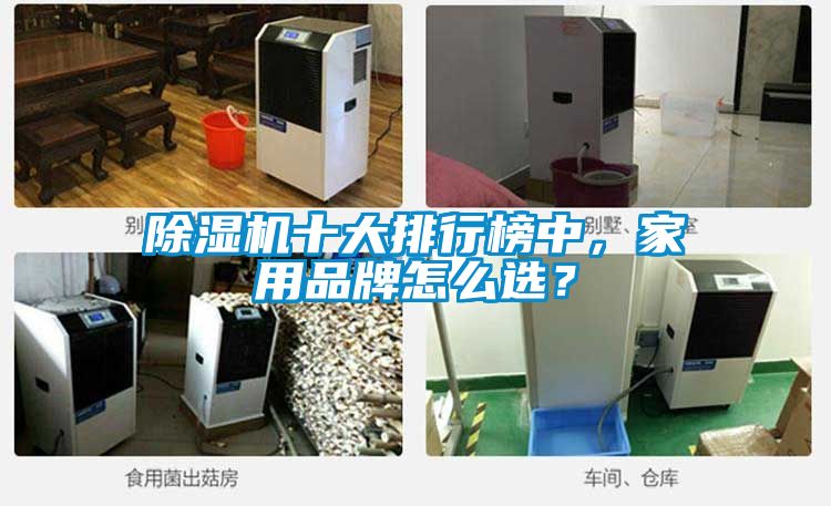 除濕機十大排行榜中，家用品牌怎么選？