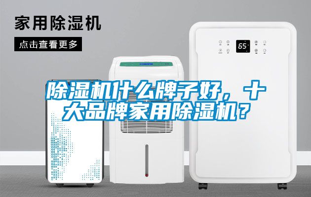 除濕機什么牌子好，十大品牌家用除濕機？