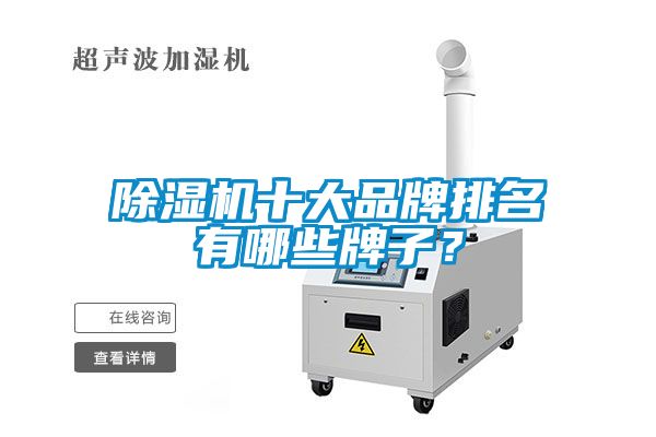 除濕機十大品牌排名有哪些牌子？