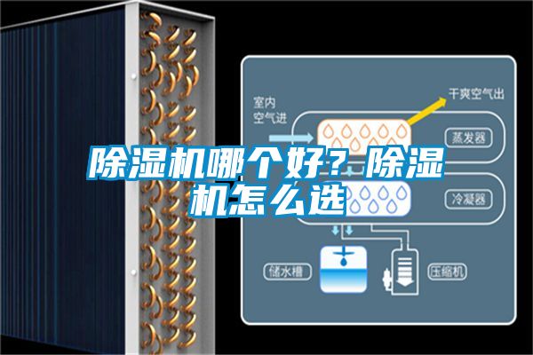 除濕機哪個好？除濕機怎么選