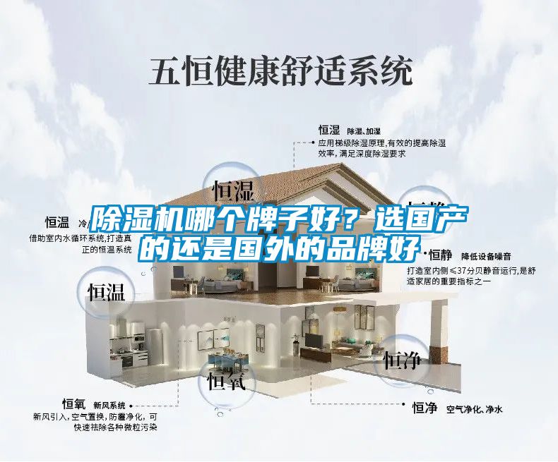 除濕機哪個牌子好？選國產的還是國外的品牌好