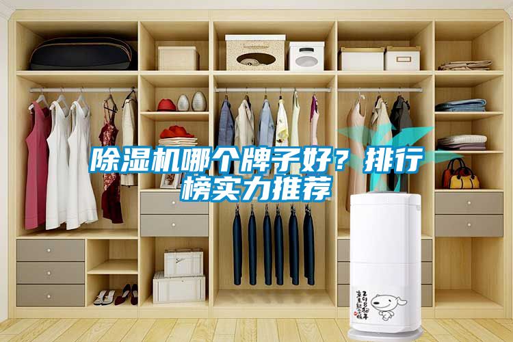 除濕機哪個牌子好？排行榜實力推薦