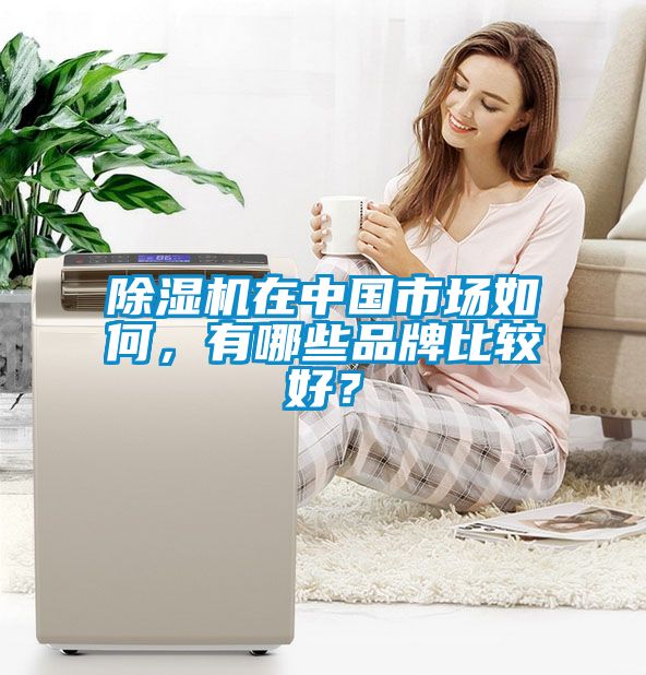 除濕機在中國市場如何，有哪些品牌比較好？