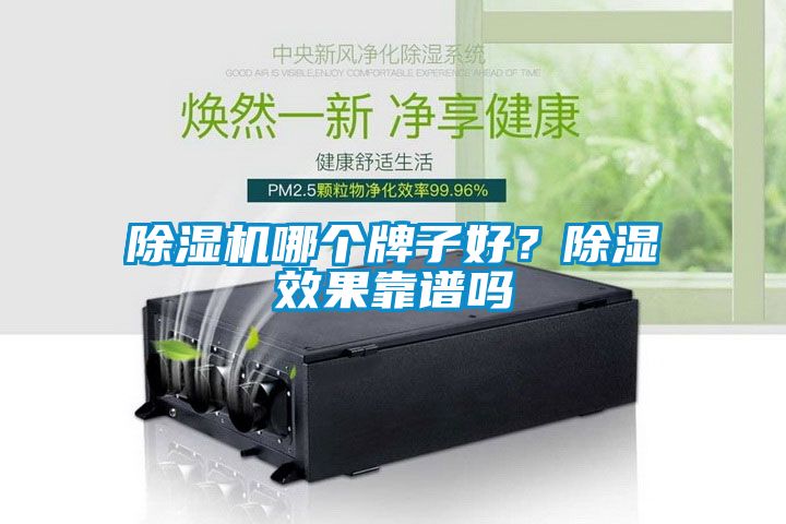 除濕機哪個牌子好？除濕效果靠譜嗎