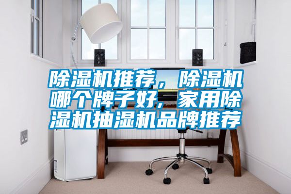 除濕機推薦，除濕機哪個牌子好, 家用除濕機抽濕機品牌推薦