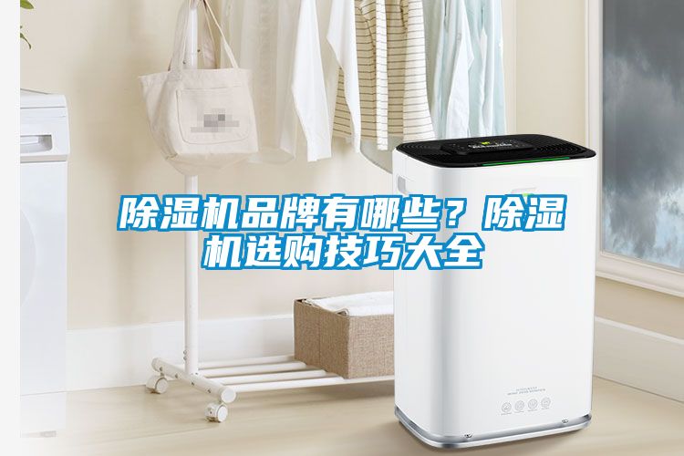 除濕機品牌有哪些？除濕機選購技巧大全