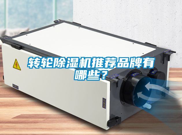 轉輪除濕機推薦品牌有哪些？