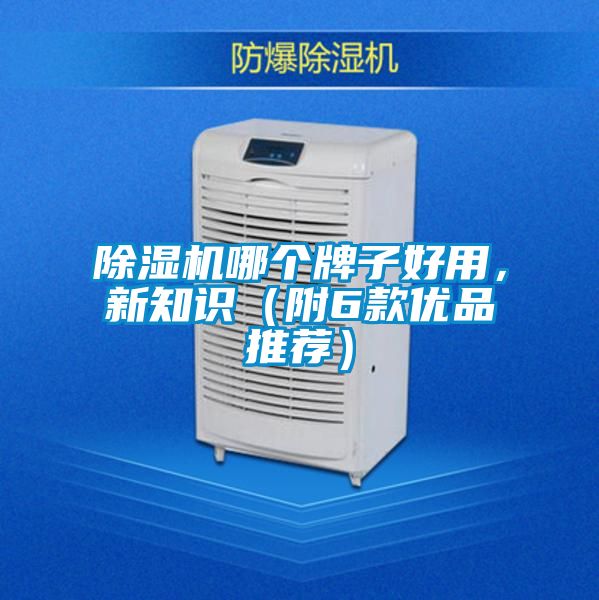 除濕機哪個牌子好用，新知識（附6款優品推薦）