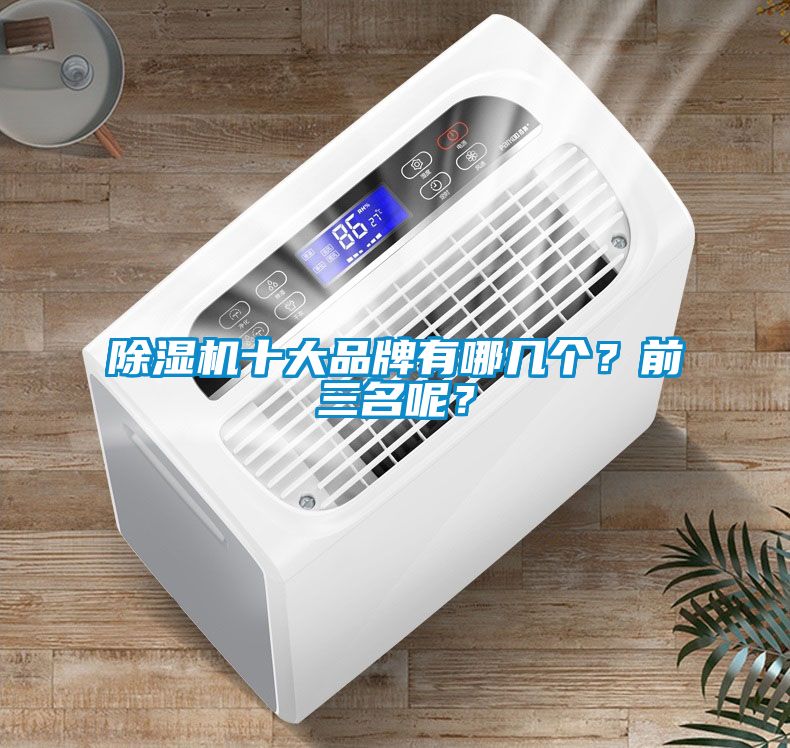除濕機十大品牌有哪幾個？前三名呢？