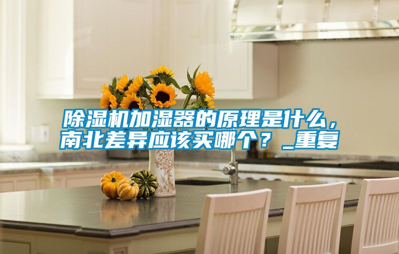 除濕機加濕器的原理是什么，南北差異應該買哪個？_重復
