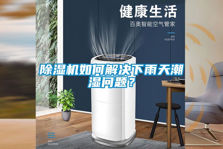 除濕機如何解決下雨天潮濕問題？