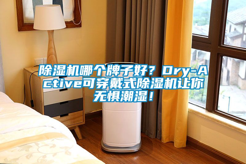 除濕機哪個牌子好？Dry-Active可穿戴式除濕機讓你無懼潮濕！