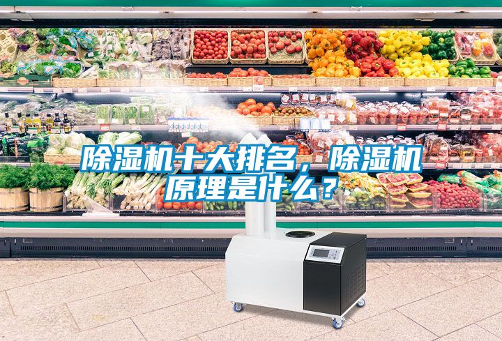 除濕機十大排名，除濕機原理是什么？