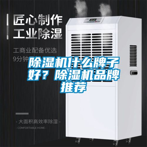 除濕機什么牌子好？除濕機品牌推薦