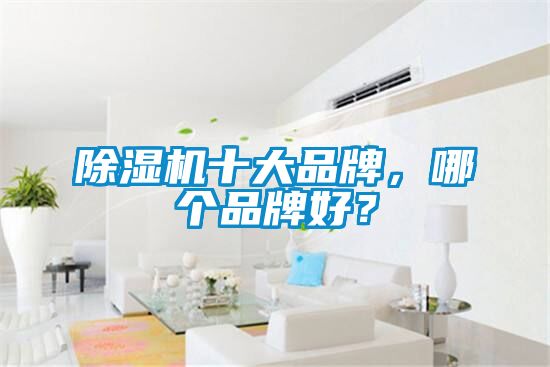除濕機十大品牌，哪個品牌好？