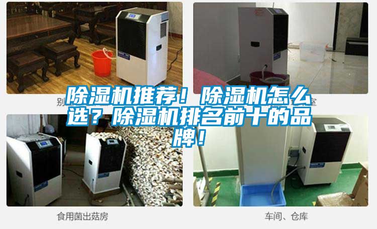 除濕機推薦！除濕機怎么選？除濕機排名前十的品牌！