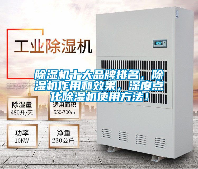 除濕機十大品牌排名，除濕機作用和效果，深度點化除濕機使用方法！