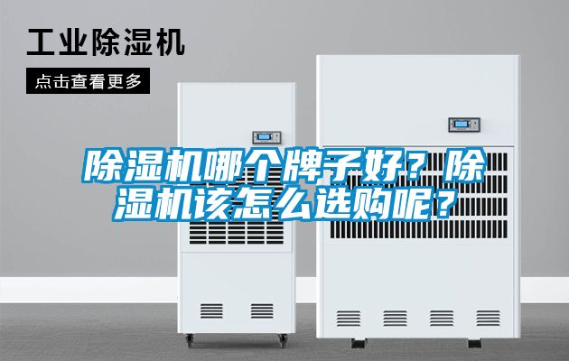 除濕機哪個牌子好？除濕機該怎么選購呢？