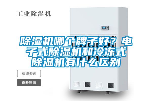 除濕機哪個牌子好？電子式除濕機和冷凍式除濕機有什么區別