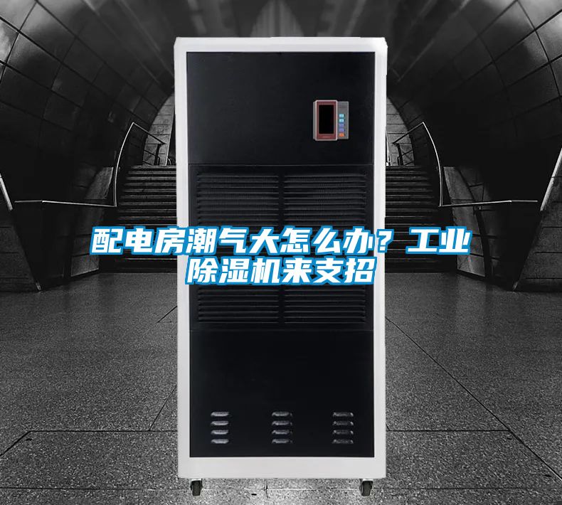配電房潮氣大怎么辦？工業除濕機來支招