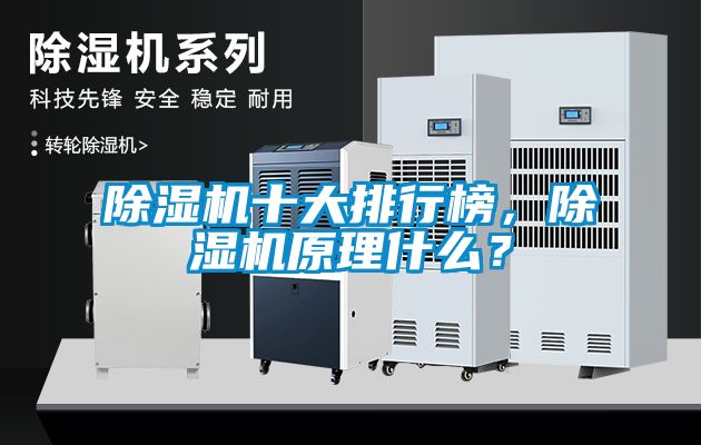 除濕機十大排行榜，除濕機原理什么？