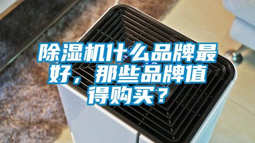除濕機什么品牌最好，那些品牌值得購買？