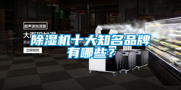 除濕機十大知名品牌有哪些？